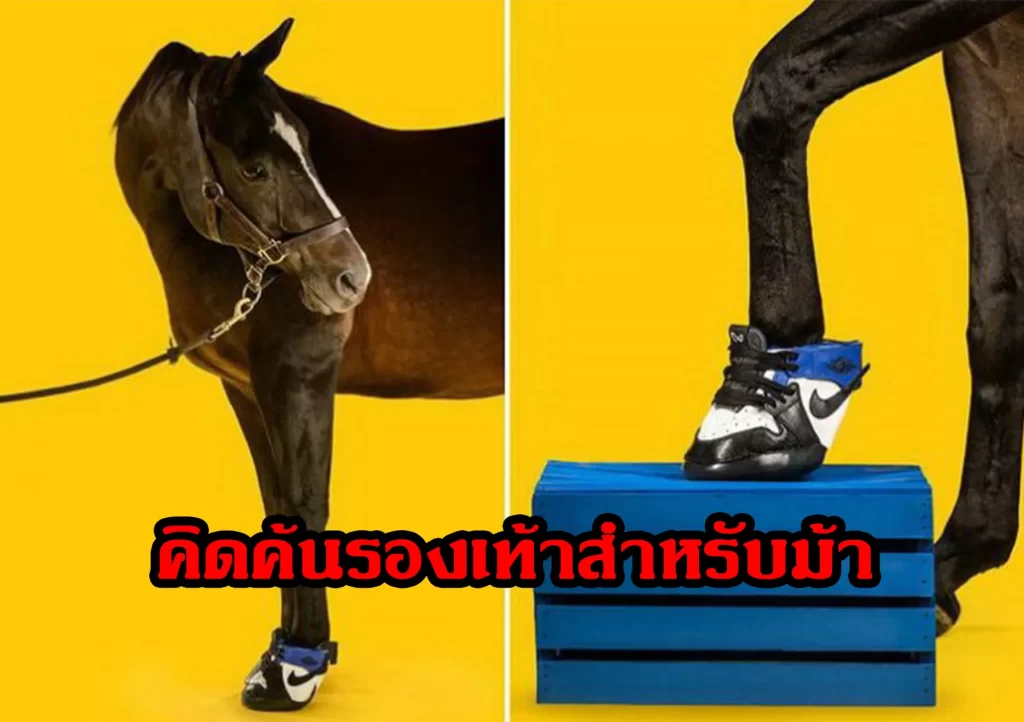 คิดค้นรองเท้าสำหรับม้า